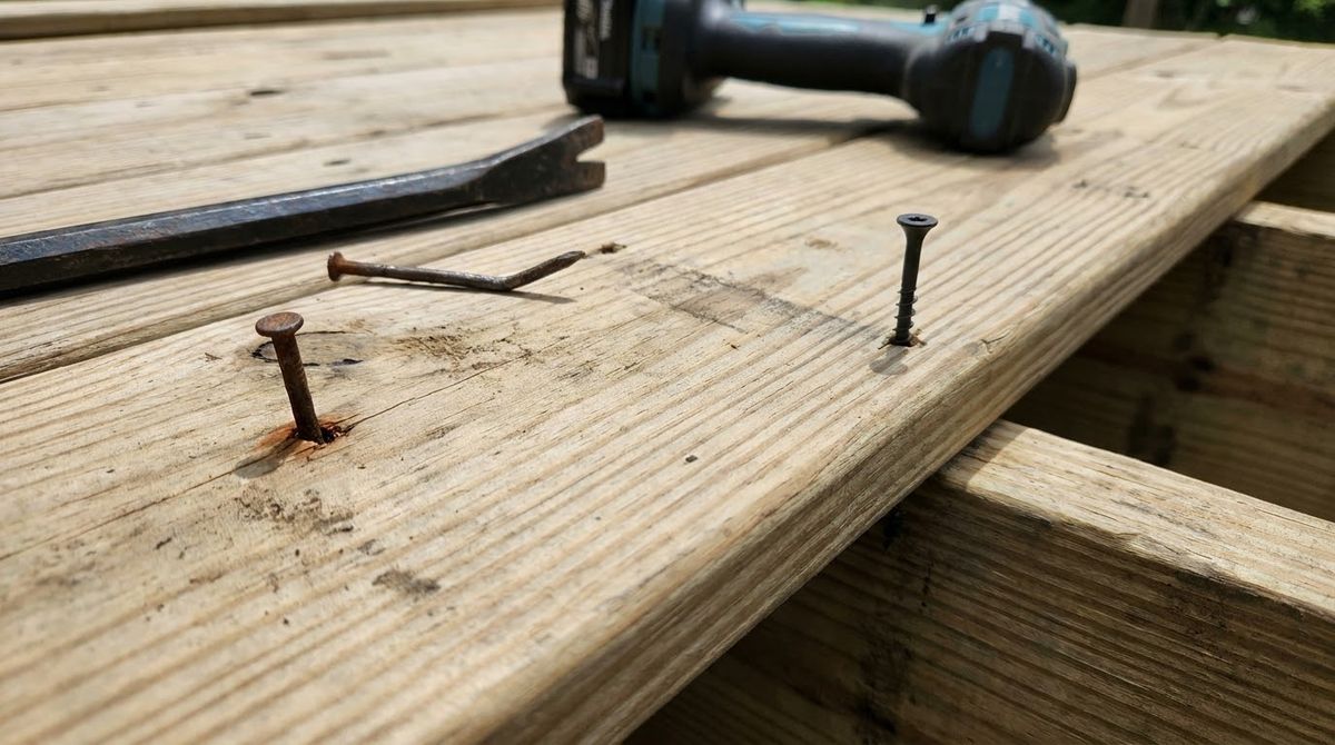 Popped nail pulled from a wood deck board beside a new coated deck screw
