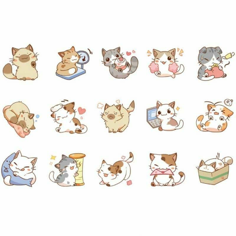 Sticker mèo cute