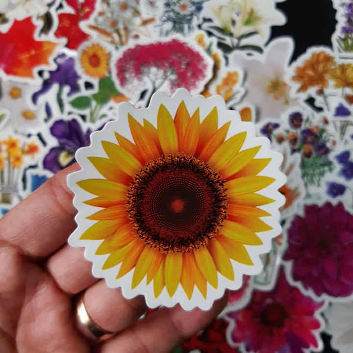Sticker hoa