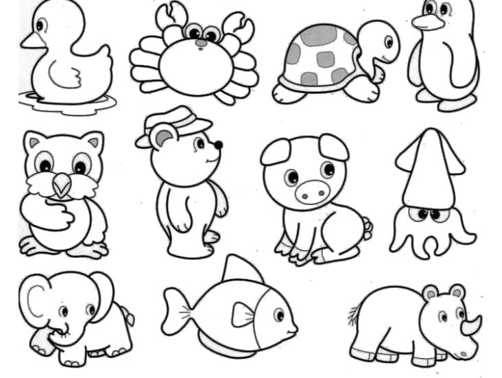 Sticker cute không màu 