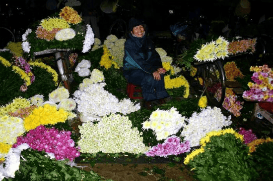 Quang Ba Flower Market: Complete Visitor Guide 2025 Quang Ba Flower Market: Complete Visitor Guide 2025