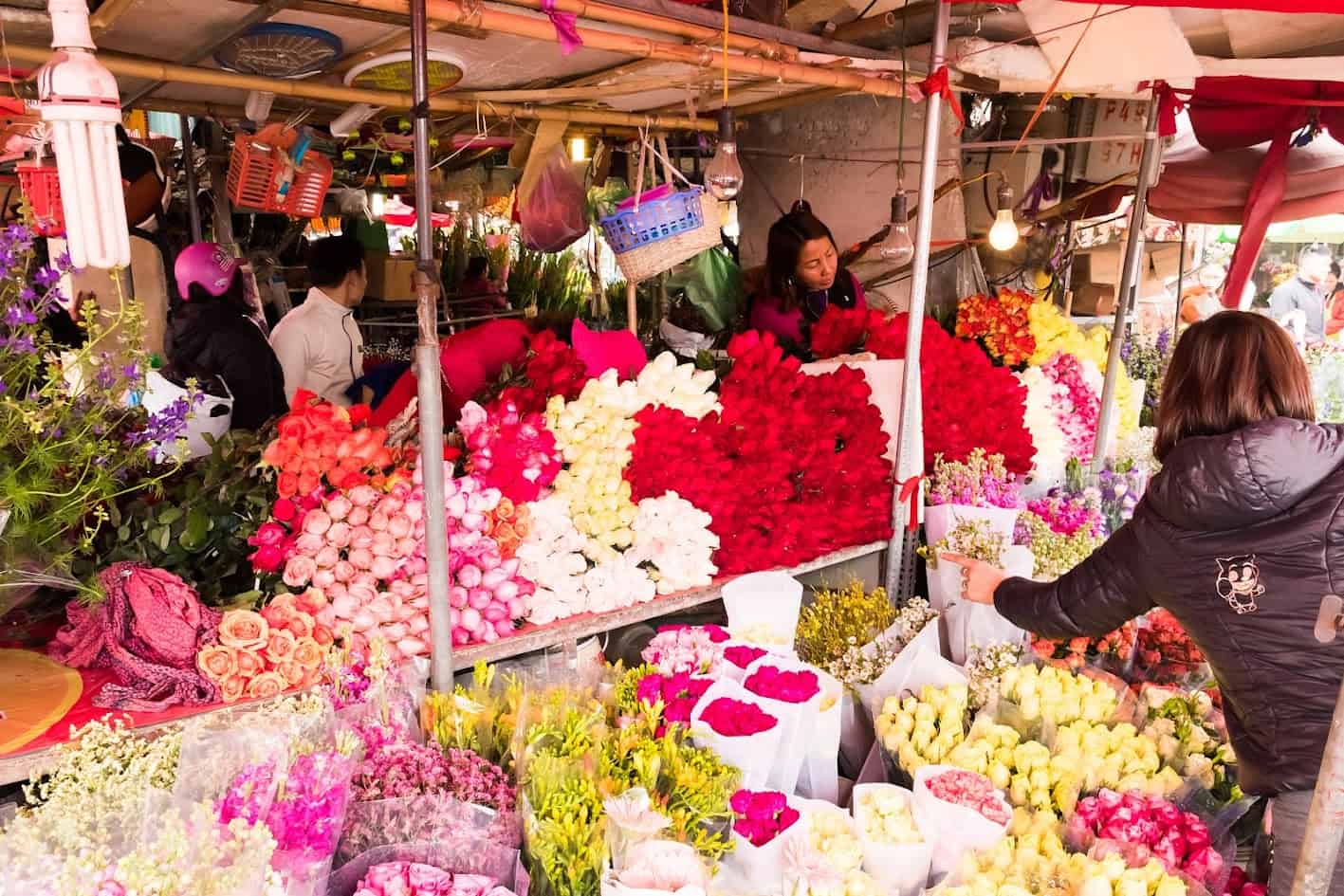 Quang Ba Flower Market: Complete Visitor Guide 2025 Quang Ba Flower Market: Complete Visitor Guide 2025