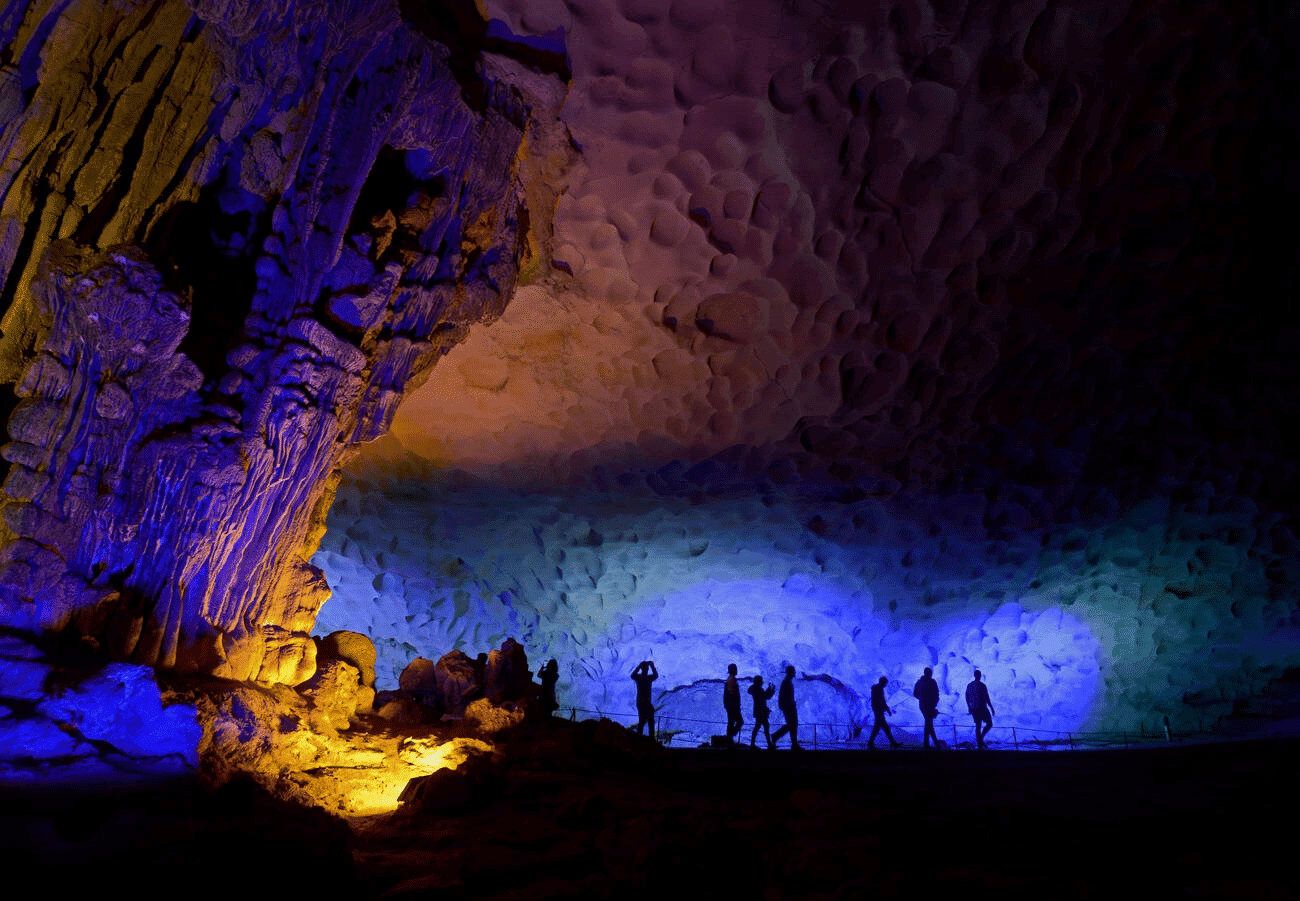 Dark Cave Phong Nha: Complete 2025 Guide (Zipline, Mud Bath & Everything You Need to Know) Dark Cave Phong Nha: Complete 2025 Guide (Zipline, Mud Bath & Everything You Need to Know)