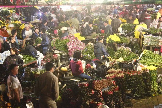 Quang Ba Flower Market: Complete Visitor Guide 2025 Quang Ba Flower Market: Complete Visitor Guide 2025