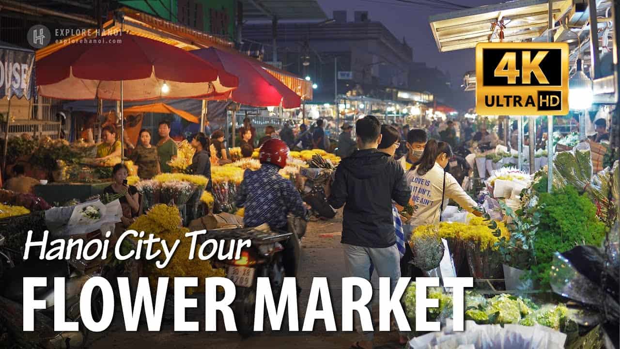 Quang Ba Flower Market: Complete Visitor Guide 2025 Quang Ba Flower Market: Complete Visitor Guide 2025