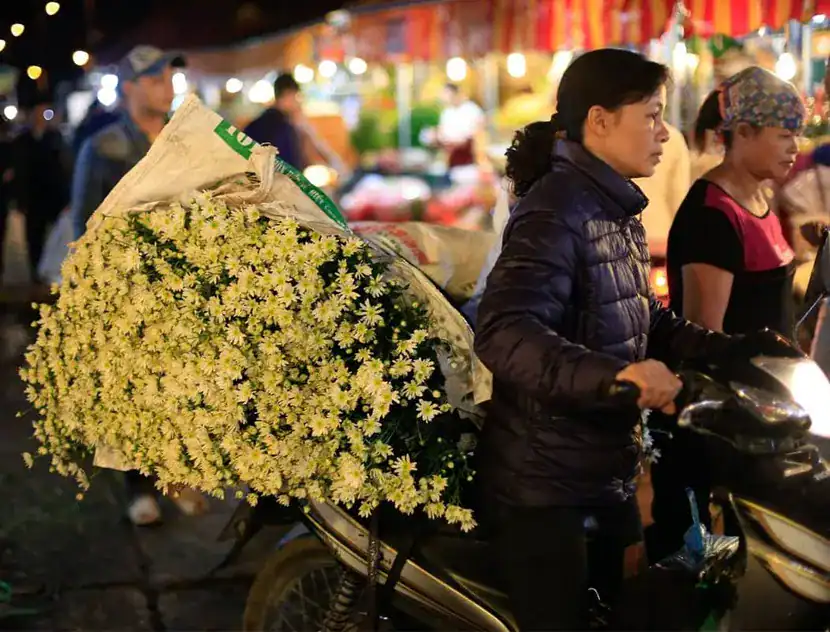 Quang Ba Flower Market: Complete Visitor Guide 2025 Quang Ba Flower Market: Complete Visitor Guide 2025