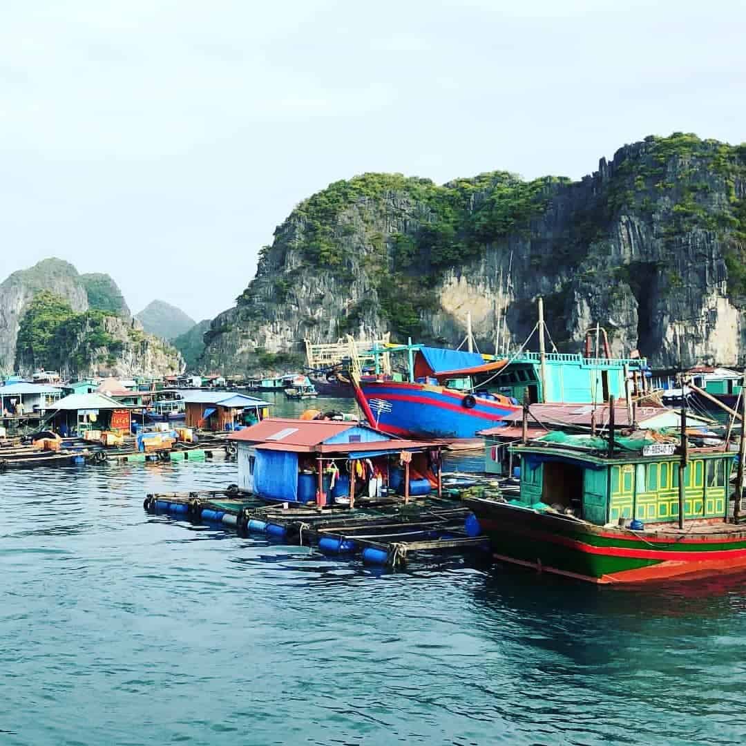 Kenh Ga Floating Village: Honest 2025 Status + Complete Guide Kenh Ga Floating Village: Honest 2025 Status + Complete Guide