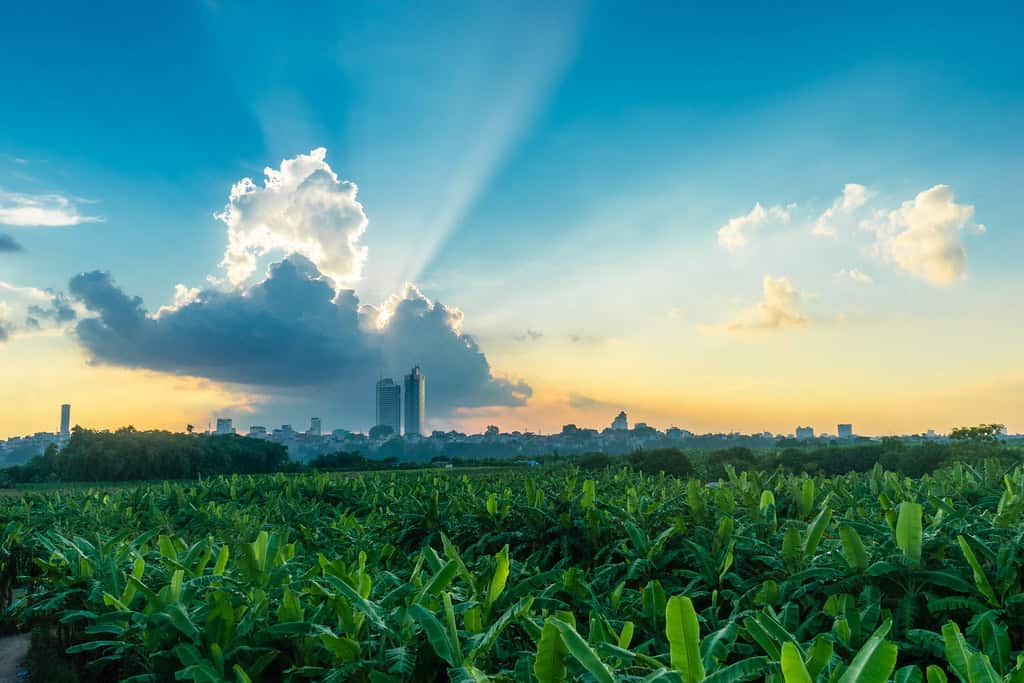Sunrise in Hanoi: Best Times & 7 Stunning Viewing Spots (2026 Guide) Sunrise in Hanoi: Best Times & 7 Stunning Viewing Spots (2026 Guide)