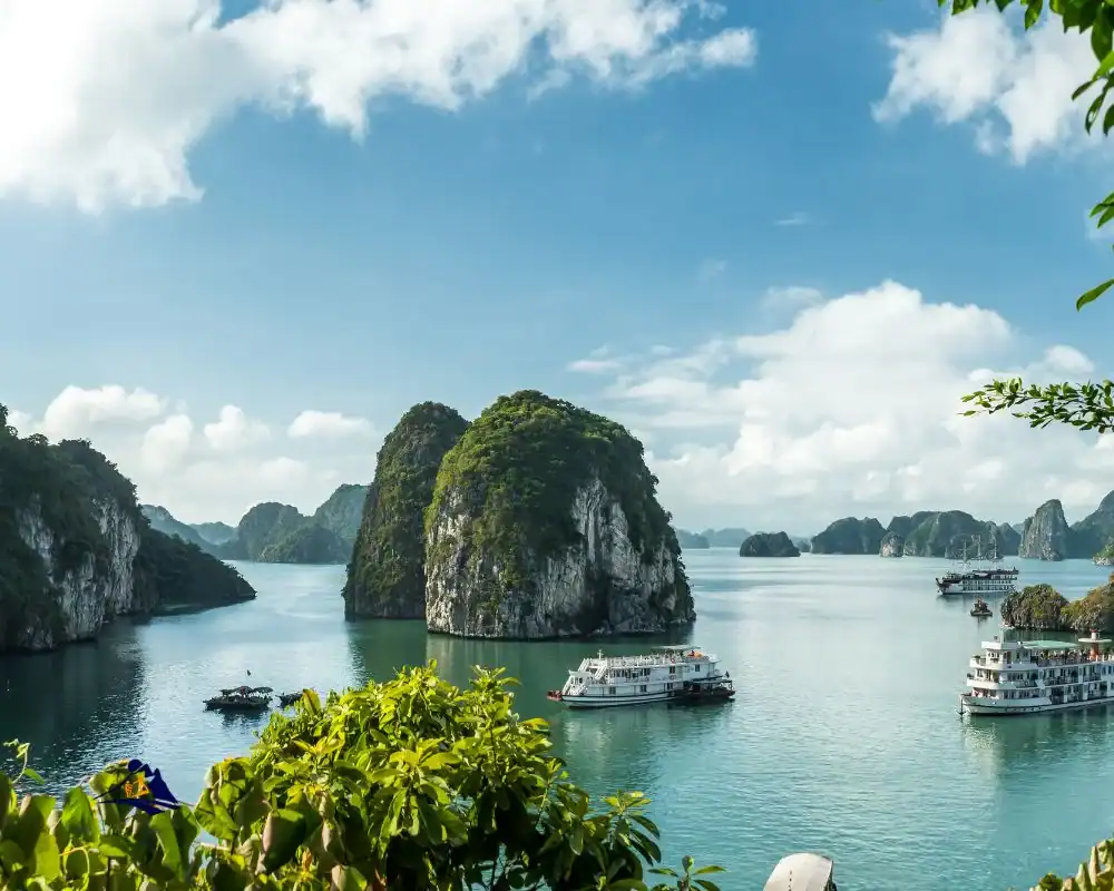 Ha Long Bay: Complete Guide - Prices, Best Time & The Truth About Pollution