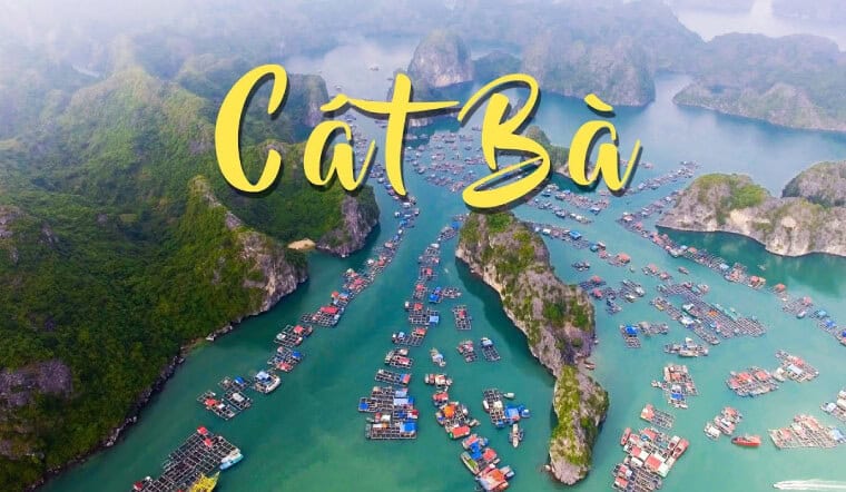 Cat Ba Town : Your Honest Guide to Vietnam's Changing Island Gateway Cat Ba Town : Your Honest Guide to Vietnam's Changing Island Gateway