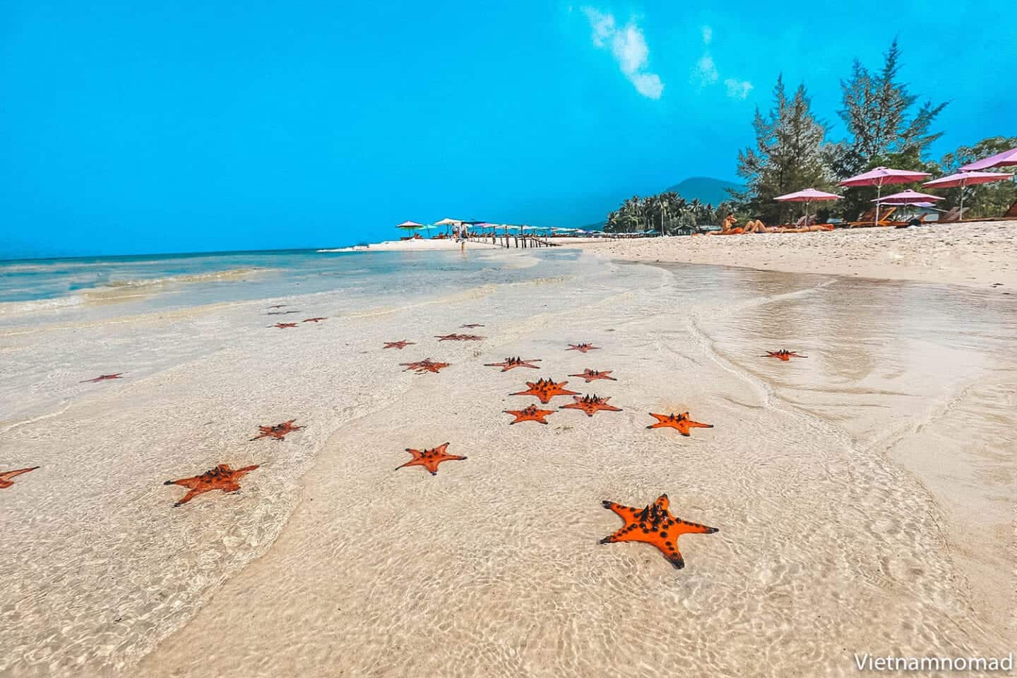 10 Must-Do Experiences in Phu Quoc 2026 - Detailed Priority Guide 10 Must-Do Experiences in Phu Quoc 2026 - Detailed Priority Guide