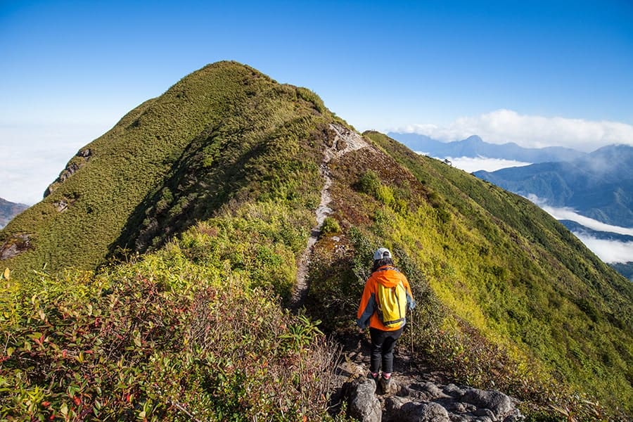 Ta Xua Nature Reserve - Vietnam's Premier Cloud Hunting Paradise 2026
