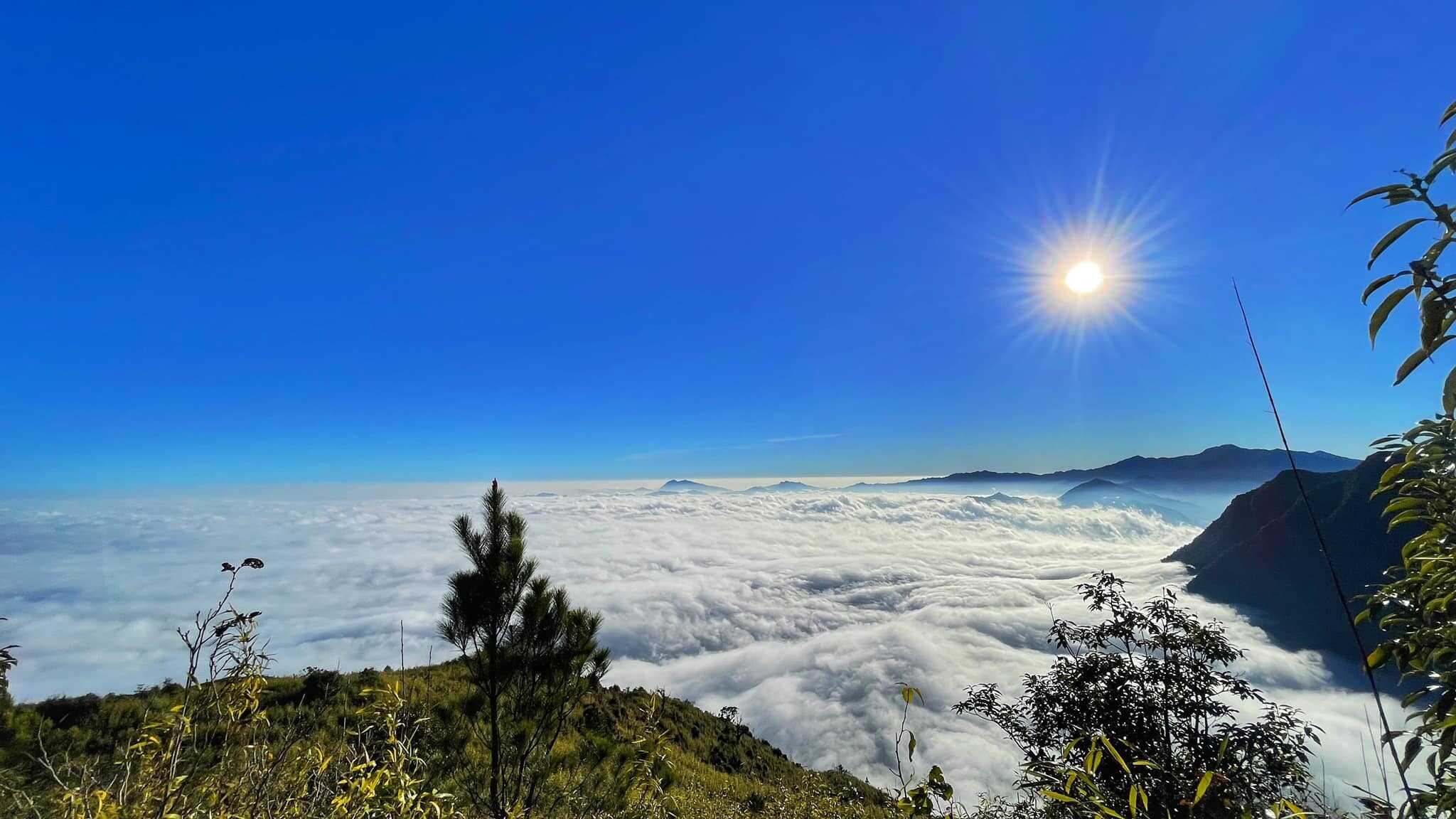 Ta Xua Nature Reserve - Vietnam's Premier Cloud Hunting Paradise 2026