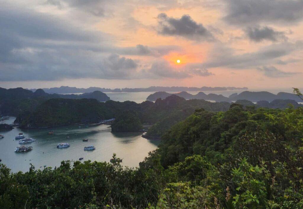 Cat Ba Town : Your Honest Guide to Vietnam's Changing Island Gateway Cat Ba Town : Your Honest Guide to Vietnam's Changing Island Gateway