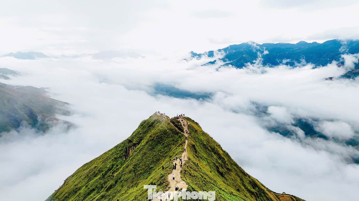 Ta Xua Nature Reserve - Vietnam's Premier Cloud Hunting Paradise 2026