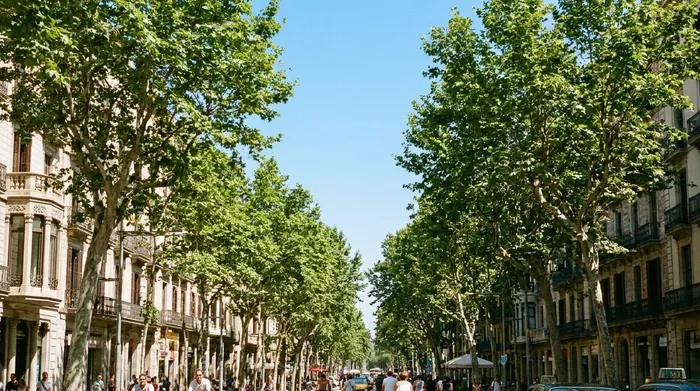 Illustration of a tree-lined Barcelona street under a clear sky