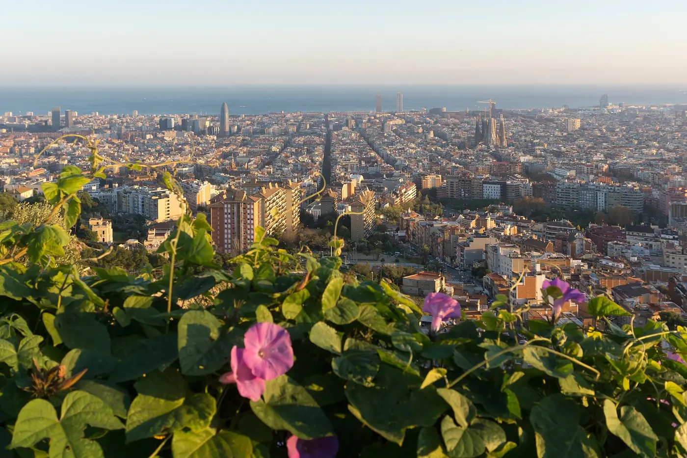 Barcelona seen from the Bunkers del Carmel