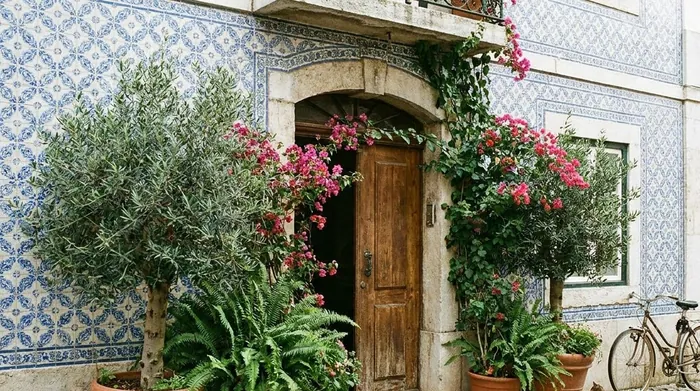 Illustration of a tiled doorway with plants on a Lisbon street