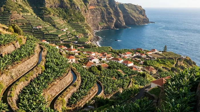 Illustration of terraced banana plantations above the sea on Madeira