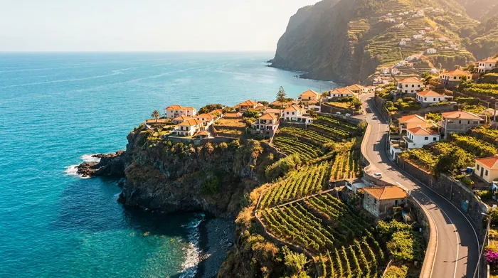 Illustration of Madeira's sunny coastline in summer