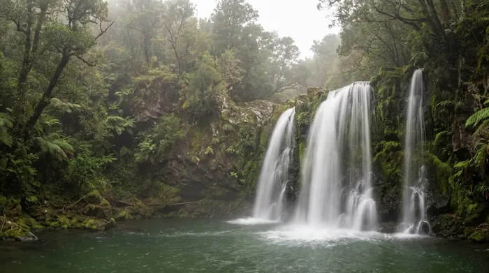 Illustration of waterfalls in a laurel forest pool on Madeira