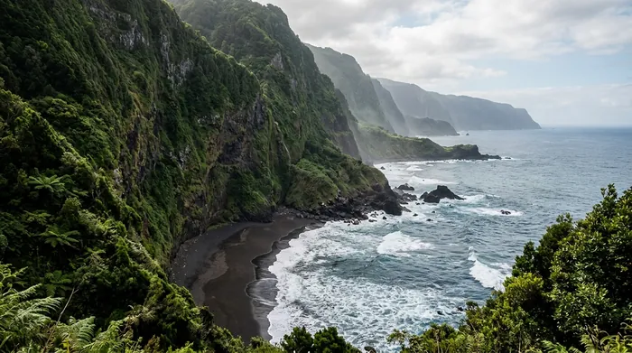 Illustration of a black sand beach below green cliffs on Madeira