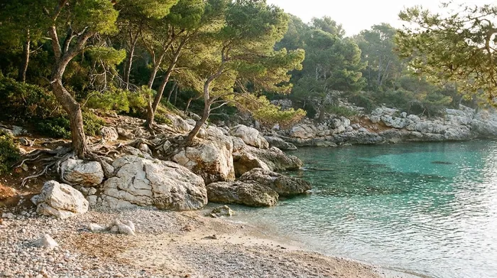 Illustration of pines above a turquoise cove on Mallorca