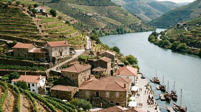 Illustration of a riverside wine village in the Douro valley