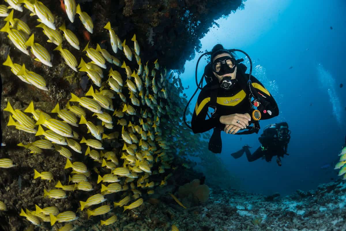 Snorkeler gliding above a vibrant coral reef with tropical fish in clear turquoise Andaman Sea water