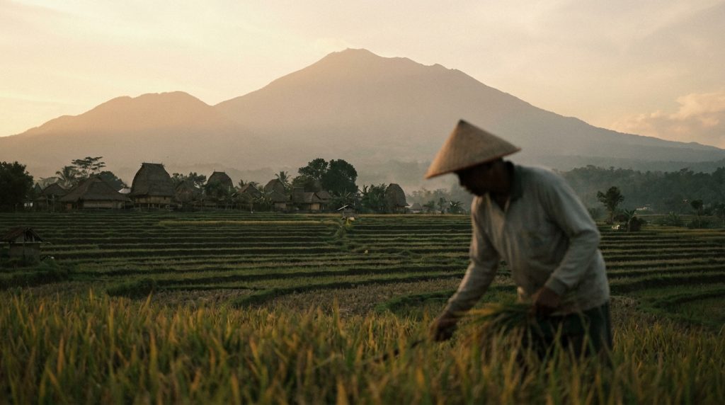 things to do in lombok