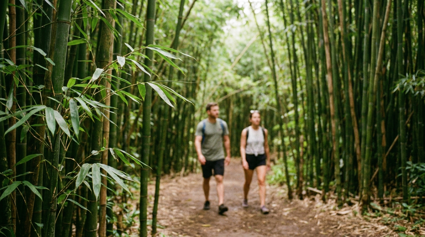 Best Things to Do on Maui - best things to do in hawaii