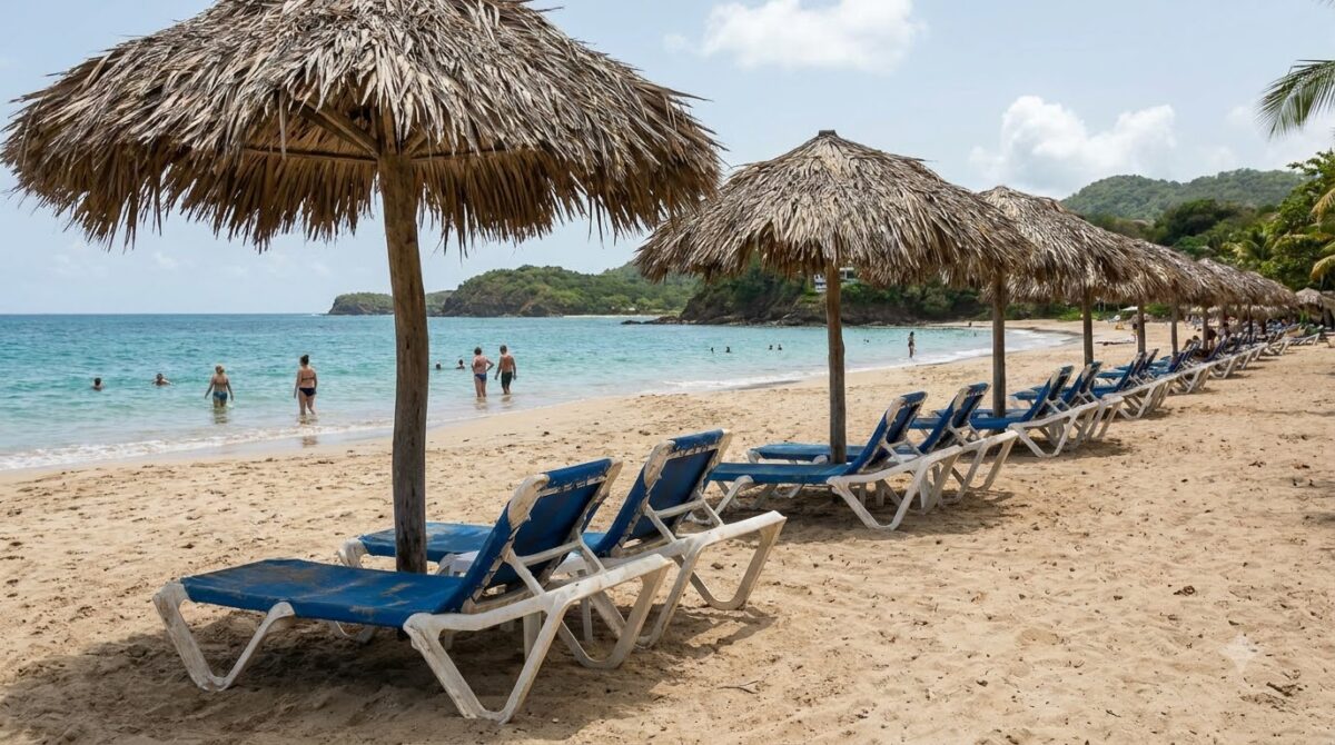 Thatched palm umbrellas and sun loungers on a Caribbean beach at midday