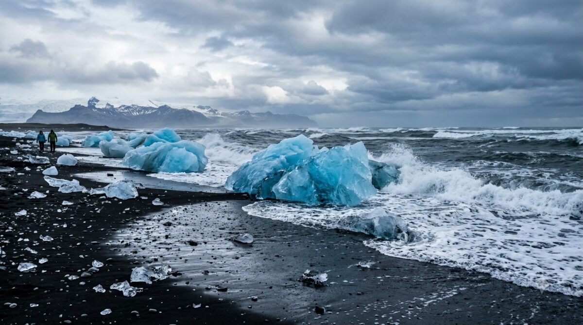 Blue icebergs on a black sand beach in Iceland