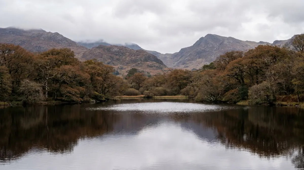A lake surrounded by woodland and mountains, Killarney National Park, County Kerry, Ireland