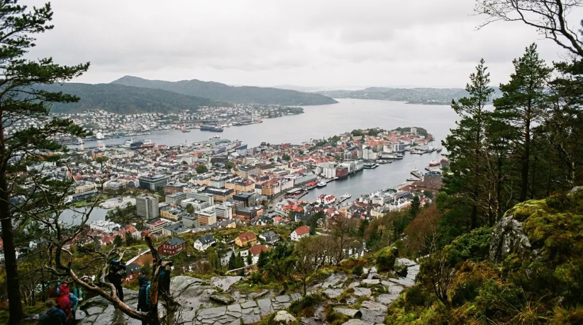 A view over a harbour city and islands from a wooded hilltop, Floyen, Bergen, Norway