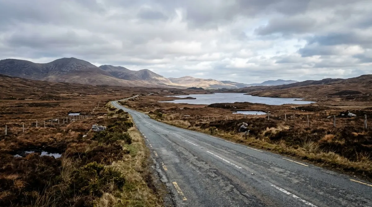 An empty road across brown bogland with a lake and low mountains behind, Connemara, County Galway, Ireland