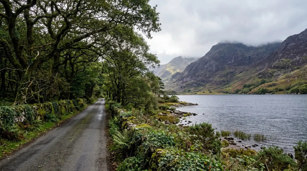 A road lined with trees beside a large lake with mountains rising behind, Killarney National Park, County Kerry, Ireland