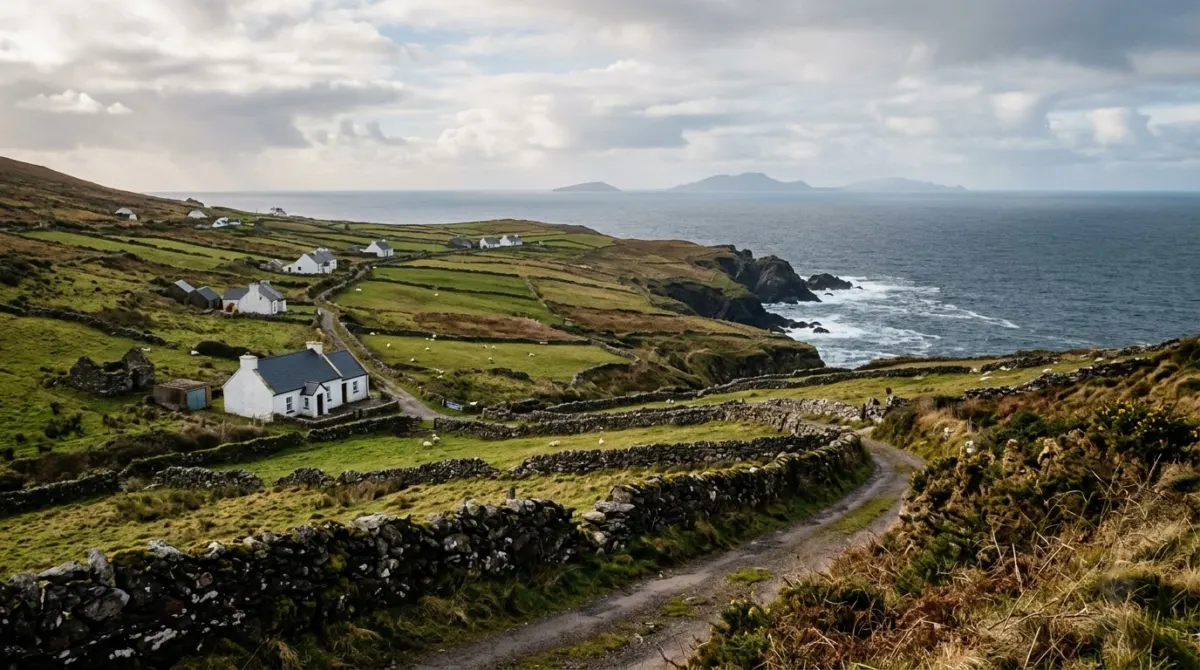 Small fields divided by stone walls running down to the sea with white cottages, west of the Dingle Peninsula, Ireland