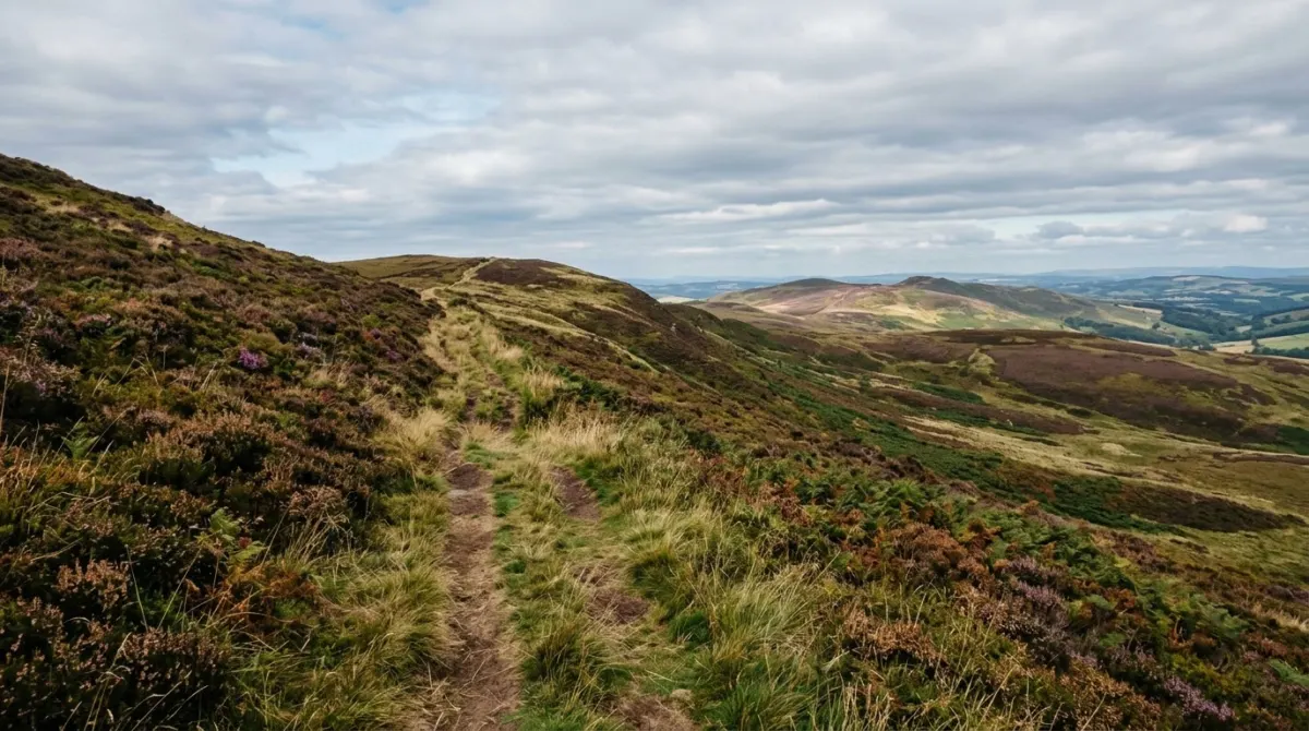 A grassy hill path climbing over rolling heather slopes under a wide sky, Pentland Hills, Edinburgh, Scotland
