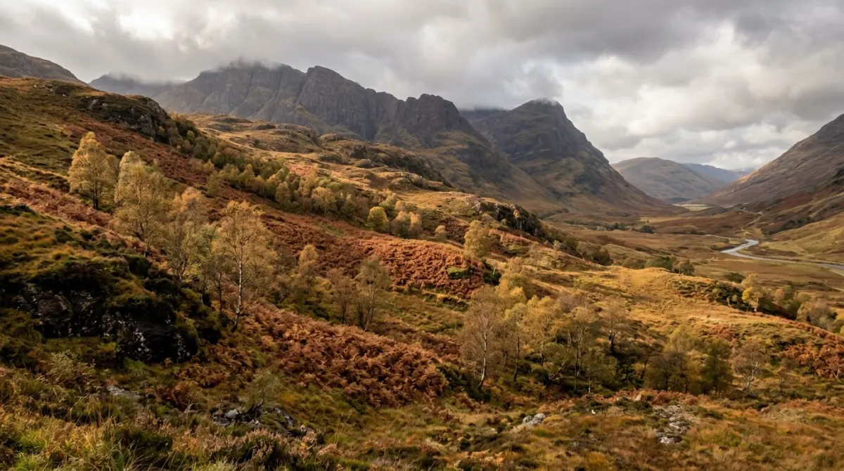 Copper bracken and birch trees on the slopes of a wide glen in autumn light, Glencoe, Scotland