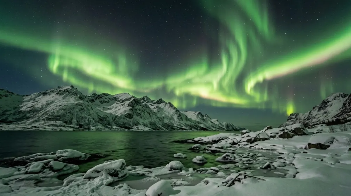 Green northern lights rippling across a dark winter sky above snowy mountains and a frozen shore, Tromsø, Norway