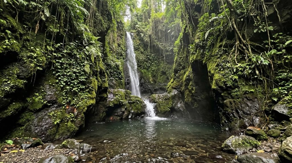 Narrow jungle canyon waterfall with mossy rock walls near Ubud, Bali
