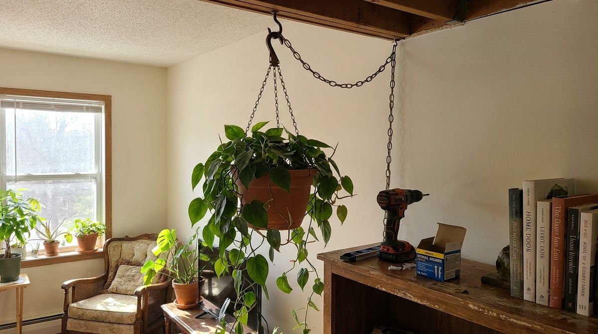 Drilled Ways to Hang Heavier Plants