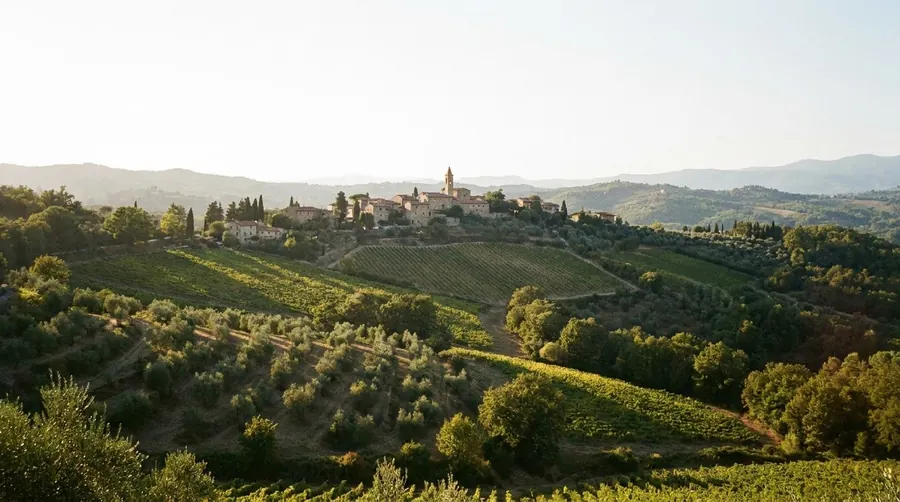 Illustration of Chianti