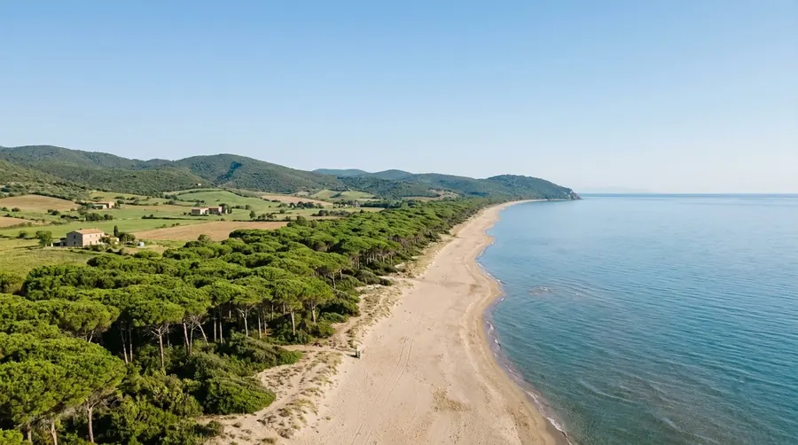 Illustration of Maremma coast