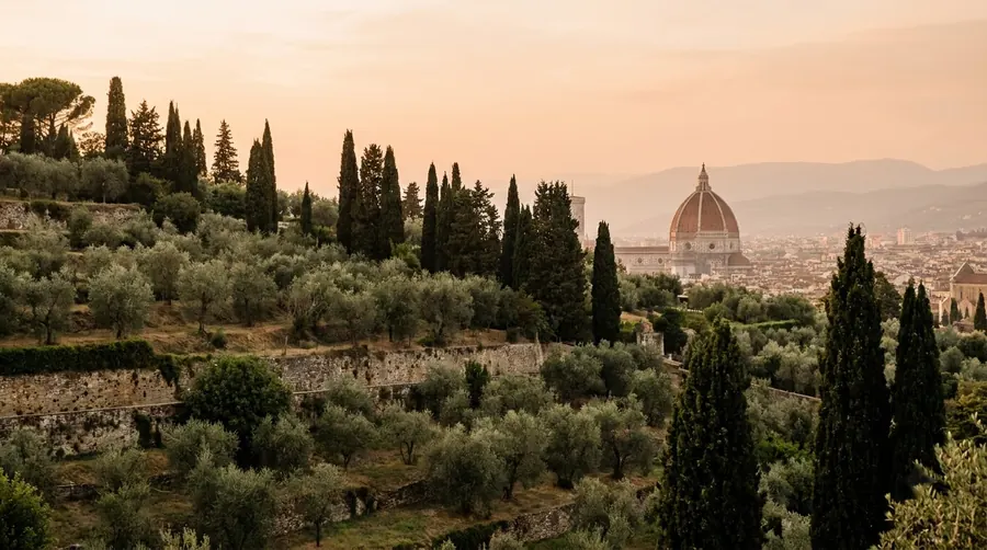 Illustration of Florence countryside